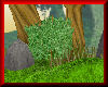 Mystic Grove