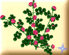 Product Image for 3-Arm Pink Beauty Rose