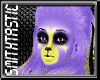 [ST] Nautica Retang