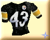43 Troy Polamalu JerseyF