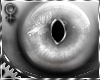 *E IIPulseII Silent (F)*