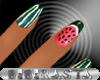 BBR Slender Watermelon