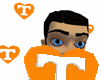UT Tennessee Vols Swarm!