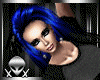 !!BlueBerry Black