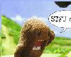 Domo Stfu Noob