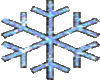 R Snowflake
