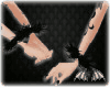 |PM| Black Feathers