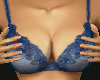{LC} Blue Strip Bra