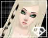 [KISA]ShanaBlondeCoon