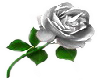 |XX| Ouran Rose Col 2.