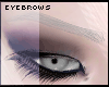 brows grey