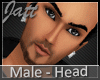 DM| Hot Model Head