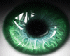 t| Green Shine Eye F