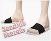 *Sandals #3 Female