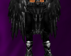 Warrior Beast Bottom