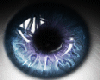 t| Blue Shine Eyes F