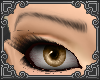 W~ Brows Black