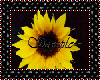 Product Image for Sunflower Sticker