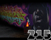 215>Big & Pac Alley(RIP)