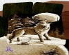 R Wolf Bed