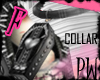 P* DoliCoffin N02 F