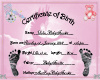 BF361-BirthCertificate2