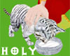 Baby White Tiger & Milk