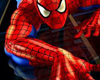 Spiderman Shoes
