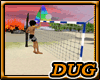 (D)Volleyball Game Net