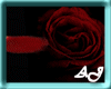 rose radio