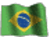 **SB Brazil Flag