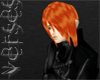 -V- Revenge Luu