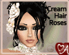 Hair Roses 2