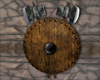 Viking Shield 1