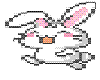 Bunny chibi