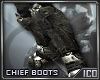 ICO Chief Boots M