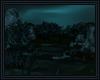 Night Wish Pond
