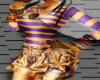 LvSpringFit2-Bh