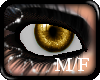 {A} GoldVampShyn Eyes