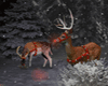 .NA Xmas Forest Bckdr