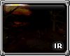 [IR]Carnival Night