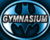 DC Batcave Gym Bundle