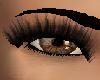 Browns Eyes