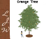 LJW Tree Orange Fruit