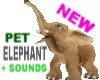 Elephant Pet