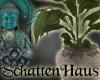 Tibetan Potted Plant 2