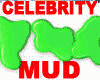 4u Celebrity Pie Throwin