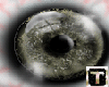 t| Bronze Jello Eyes
