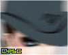 |Desc| Cowgirl Hair+Hat