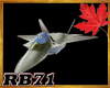 (RB71) F-22 Raptor Jet